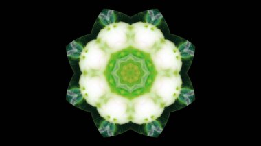 Soyut boya fırça mürekkep patlayabilir formanın düzgün kavramı simetrik desen süs dekoratif Kaleidoscope hareketi geometrik daire ve yıldız şekiller