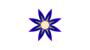 Soyut boya fırça mürekkep patlayabilir formanın düzgün kavramı simetrik desen süs dekoratif Kaleidoscope hareketi geometrik daire ve yıldız şekiller