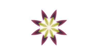 Soyut boya fırça mürekkep patlayabilir formanın düzgün kavramı simetrik desen süs dekoratif Kaleidoscope hareketi geometrik daire ve yıldız şekiller