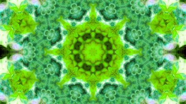 Soyut boya fırça mürekkep patlayabilir formanın düzgün kavramı simetrik desen süs dekoratif Kaleidoscope hareketi geometrik daire ve yıldız şekiller