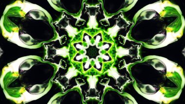 Soyut boya fırça mürekkep patlayabilir formanın düzgün kavramı simetrik desen süs dekoratif Kaleidoscope hareketi geometrik daire ve yıldız şekiller