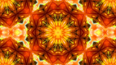 Soyut boya fırça mürekkep patlayabilir formanın düzgün kavramı simetrik desen süs dekoratif Kaleidoscope hareketi geometrik daire ve yıldız şekiller