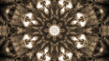 Soyut boya fırça mürekkep patlayabilir formanın düzgün kavramı simetrik desen süs dekoratif Kaleidoscope hareketi geometrik daire ve yıldız şekiller