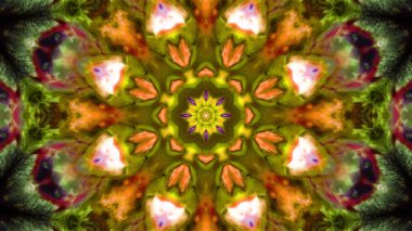 Boya fırça Kaleidoscope