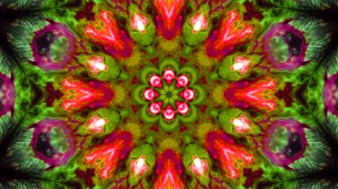 Boya fırça Kaleidoscope
