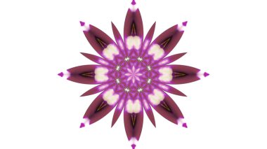 Soyut boya fırça mürekkep patlayabilir formanın düzgün kavramı simetrik desen süs dekoratif Kaleidoscope hareketi geometrik daire ve yıldız şekiller