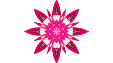 Soyut boya fırça mürekkep patlayabilir formanın düzgün kavramı simetrik desen süs dekoratif Kaleidoscope hareketi geometrik daire ve yıldız şekiller