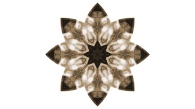 Soyut boya fırça mürekkep patlayabilir formanın düzgün kavramı simetrik desen süs dekoratif Kaleidoscope hareketi geometrik daire ve yıldız şekiller