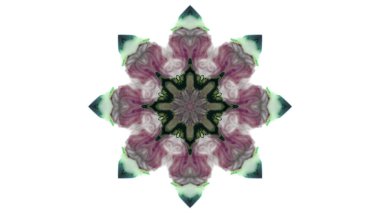 Soyut boya fırça mürekkep patlayabilir formanın düzgün kavramı simetrik desen süs dekoratif Kaleidoscope hareketi geometrik daire ve yıldız şekiller