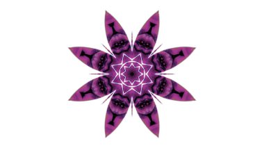 Soyut boya fırça mürekkep patlayabilir formanın düzgün kavramı simetrik desen süs dekoratif Kaleidoscope hareketi geometrik daire ve yıldız şekiller