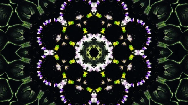 Spread Smooth Concept Symmetric Pattern Ornamental Decorative Kaleidoscope Movement Geometric — Stok Foto