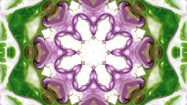 Soyut boya fırça mürekkep patlayabilir formanın düzgün kavramı simetrik desen süs dekoratif Kaleidoscope hareketi geometrik daire ve yıldız şekiller