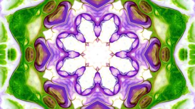 Soyut boya fırça mürekkep patlayabilir formanın düzgün kavramı simetrik desen süs dekoratif Kaleidoscope hareketi geometrik daire ve yıldız şekiller