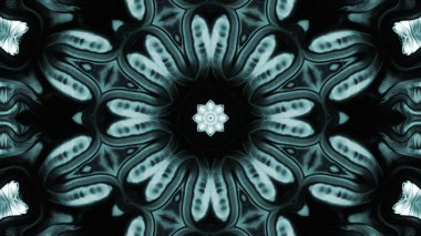 Soyut boya fırça mürekkep patlayabilir formanın düzgün kavramı simetrik desen süs dekoratif Kaleidoscope hareketi geometrik daire ve yıldız şekli