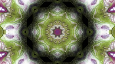 Soyut boya fırça mürekkep patlayabilir formanın düzgün kavramı simetrik desen süs dekoratif Kaleidoscope hareketi geometrik daire ve yıldız şekli