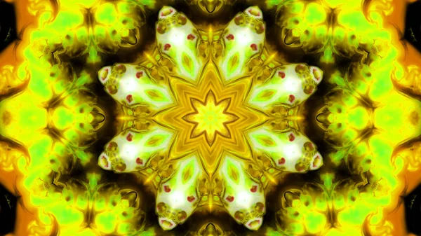 Soyut boya fırça mürekkep patlayabilir formanın düzgün kavramı simetrik desen süs dekoratif Kaleidoscope hareketi geometrik daire ve yıldız şekli