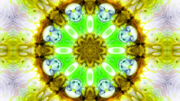 Soyut boya fırça mürekkep patlayabilir formanın düzgün kavramı simetrik desen süs dekoratif Kaleidoscope hareketi geometrik daire ve yıldız şekli