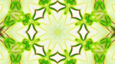 Soyut boya fırça mürekkep patlayabilir formanın düzgün kavramı simetrik desen süs dekoratif Kaleidoscope hareketi geometrik daire ve yıldız şekli