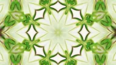 Soyut boya fırça mürekkep patlayabilir formanın düzgün kavramı simetrik desen süs dekoratif Kaleidoscope hareketi geometrik daire ve yıldız şekli