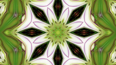 Soyut boya fırça mürekkep patlayabilir formanın düzgün kavramı simetrik desen süs dekoratif Kaleidoscope hareketi geometrik daire ve yıldız şekli