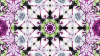 Soyut boya fırça mürekkep patlayabilir formanın düzgün kavramı simetrik desen süs dekoratif Kaleidoscope hareketi geometrik daire ve yıldız şekli