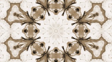 Soyut boya fırça mürekkep patlayabilir formanın düzgün kavramı simetrik desen süs dekoratif Kaleidoscope hareketi geometrik daire ve yıldız şekli