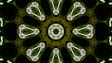 Soyut boya fırça mürekkep patlayabilir formanın düzgün kavramı simetrik desen süs dekoratif Kaleidoscope hareketi geometrik daire ve yıldız şekli