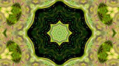 Soyut boya fırça mürekkep patlayabilir formanın düzgün kavramı simetrik desen süs dekoratif Kaleidoscope hareketi geometrik daire ve yıldız şekli