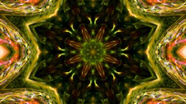 Soyut boya fırça mürekkep patlayabilir formanın düzgün kavramı simetrik desen süs dekoratif Kaleidoscope hareketi geometrik daire ve yıldız şekli