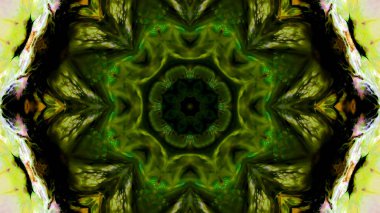 Soyut boya fırça mürekkep patlayabilir formanın düzgün kavramı simetrik desen süs dekoratif Kaleidoscope hareketi geometrik daire ve yıldız şekli