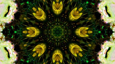 Soyut boya fırça mürekkep patlayabilir formanın düzgün kavramı simetrik desen süs dekoratif Kaleidoscope hareketi geometrik daire ve yıldız şekli