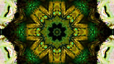 Soyut boya fırça mürekkep patlayabilir formanın düzgün kavramı simetrik desen süs dekoratif Kaleidoscope hareketi geometrik daire ve yıldız şekli