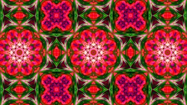 Soyut boya fırça mürekkep patlayabilir formanın düzgün kavramı simetrik desen süs dekoratif Kaleidoscope hareketi geometrik daire ve yıldız şekli