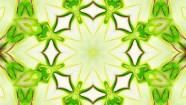 Soyut boya fırça mürekkep patlayabilir formanın düzgün kavramı simetrik desen süs dekoratif Kaleidoscope hareketi geometrik daire ve yıldız şekli