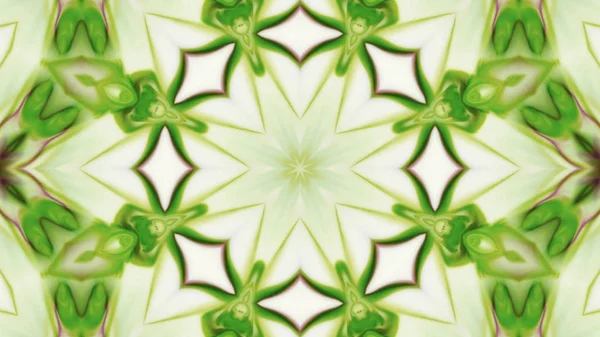 Soyut boya fırça mürekkep patlayabilir formanın düzgün kavramı simetrik desen süs dekoratif Kaleidoscope hareketi geometrik daire ve yıldız şekli