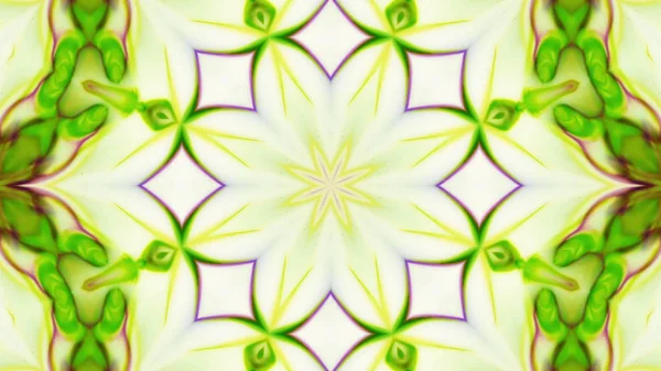 Soyut boya fırça mürekkep patlayabilir formanın düzgün kavramı simetrik desen süs dekoratif Kaleidoscope hareketi geometrik daire ve yıldız şekli