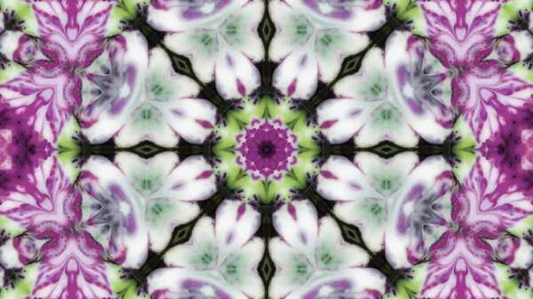 Soyut boya fırça mürekkep patlayabilir formanın düzgün kavramı simetrik desen süs dekoratif Kaleidoscope hareketi geometrik daire ve yıldız şekli