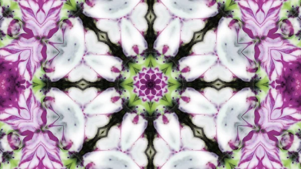 Soyut boya fırça mürekkep patlayabilir formanın düzgün kavramı simetrik desen süs dekoratif Kaleidoscope hareketi geometrik daire ve yıldız şekli