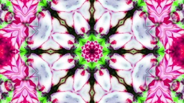 Soyut boya fırça mürekkep patlayabilir formanın düzgün kavramı simetrik desen süs dekoratif Kaleidoscope hareketi geometrik daire ve yıldız şekli