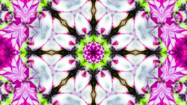 Soyut boya fırça mürekkep patlayabilir formanın düzgün kavramı simetrik desen süs dekoratif Kaleidoscope hareketi geometrik daire ve yıldız şekli