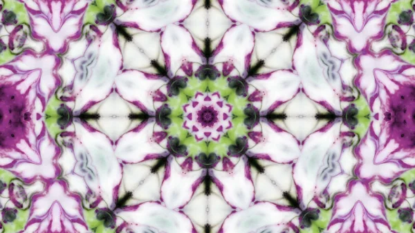 Soyut boya fırça mürekkep patlayabilir formanın düzgün kavramı simetrik desen süs dekoratif Kaleidoscope hareketi geometrik daire ve yıldız şekli