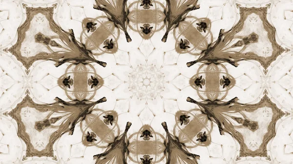 Soyut boya fırça mürekkep patlayabilir formanın düzgün kavramı simetrik desen süs dekoratif Kaleidoscope hareketi geometrik daire ve yıldız şekli