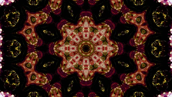 Soyut boya fırça mürekkep patlayabilir formanın düzgün kavramı simetrik desen süs dekoratif Kaleidoscope hareketi geometrik daire ve yıldız şekli