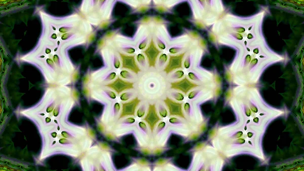 Soyut boya fırça mürekkep patlayabilir formanın düzgün kavramı simetrik desen süs dekoratif Kaleidoscope hareketi geometrik daire ve yıldız şekli