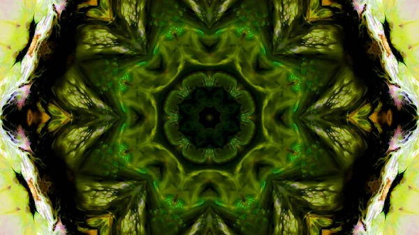 Soyut boya fırça mürekkep patlayabilir formanın düzgün kavramı simetrik desen süs dekoratif Kaleidoscope hareketi geometrik daire ve yıldız şekli