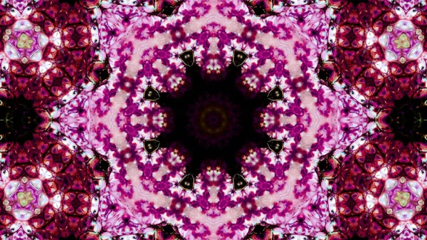 Soyut boya fırça mürekkep patlayabilir formanın düzgün kavramı simetrik desen süs dekoratif Kaleidoscope hareketi geometrik daire ve yıldız şekli