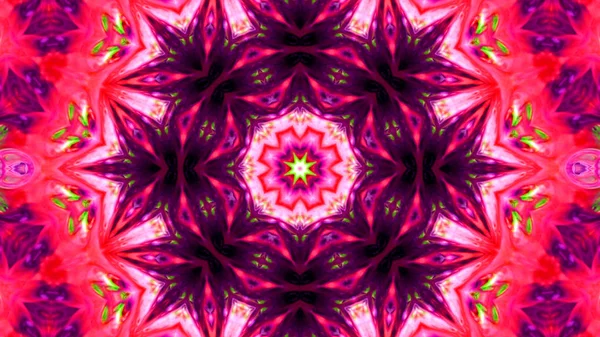 Soyut boya fırça mürekkep patlayabilir formanın düzgün kavramı simetrik desen süs dekoratif Kaleidoscope hareketi geometrik daire ve yıldız şekli