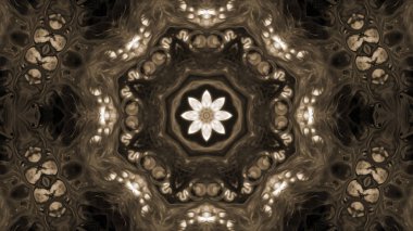 Soyut boya fırça mürekkep patlayabilir formanın düzgün kavramı simetrik desen süs dekoratif Kaleidoscope hareketi geometrik daire ve yıldız şekli