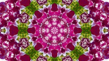 Soyut boya fırça mürekkep patlayabilir formanın düzgün kavramı simetrik desen süs dekoratif Kaleidoscope hareketi geometrik daire ve yıldız şekiller