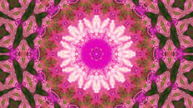 Soyut boya fırça mürekkep patlayabilir formanın düzgün kavramı simetrik desen süs dekoratif Kaleidoscope hareketi geometrik daire ve yıldız şekiller